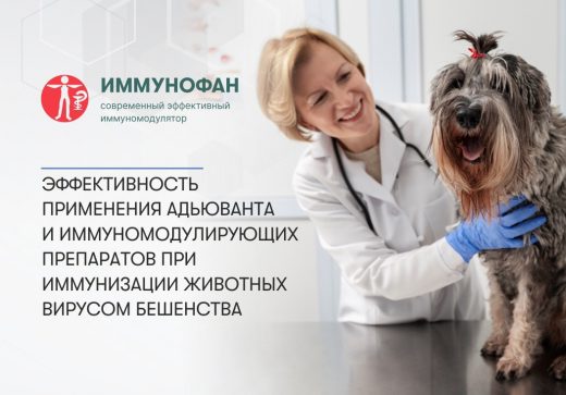 Эффективность применения адьюванта и иммуномодулирующих препаратов при иммунизации животных вирусом бешенства